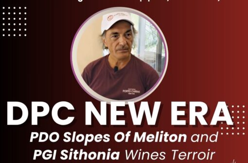 Domaine Porto Carras new era – PDO Slopes Of Meliton and PGI Sithonia Wines Terroir